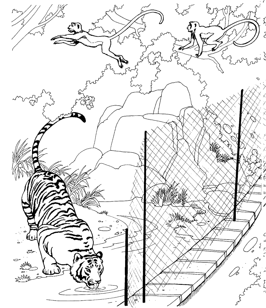 Desenho de Animais Do Zoológico para colorir