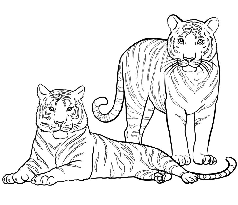 Desenho de Animais Do Zoológico para colorir