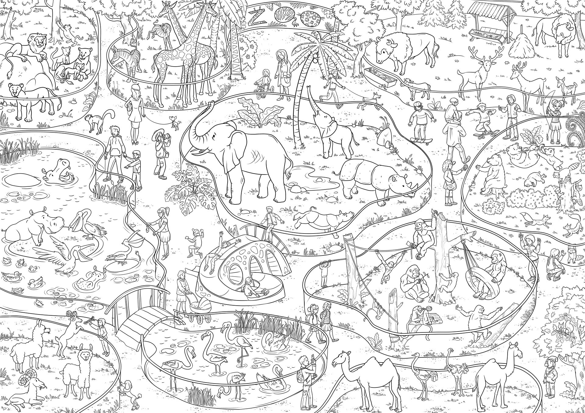 Desenho de Animais Do Zoológico para colorir