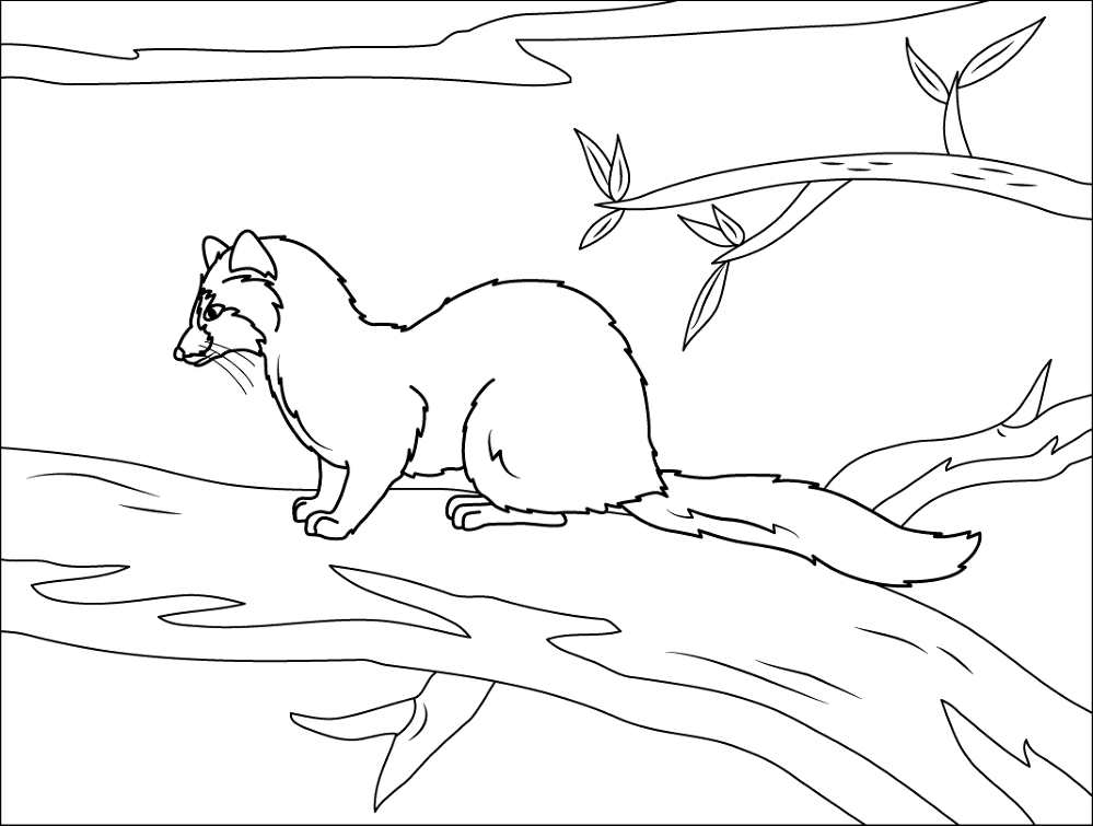 Desenho de Animais Noturnos para colorir e imprimir: número 7