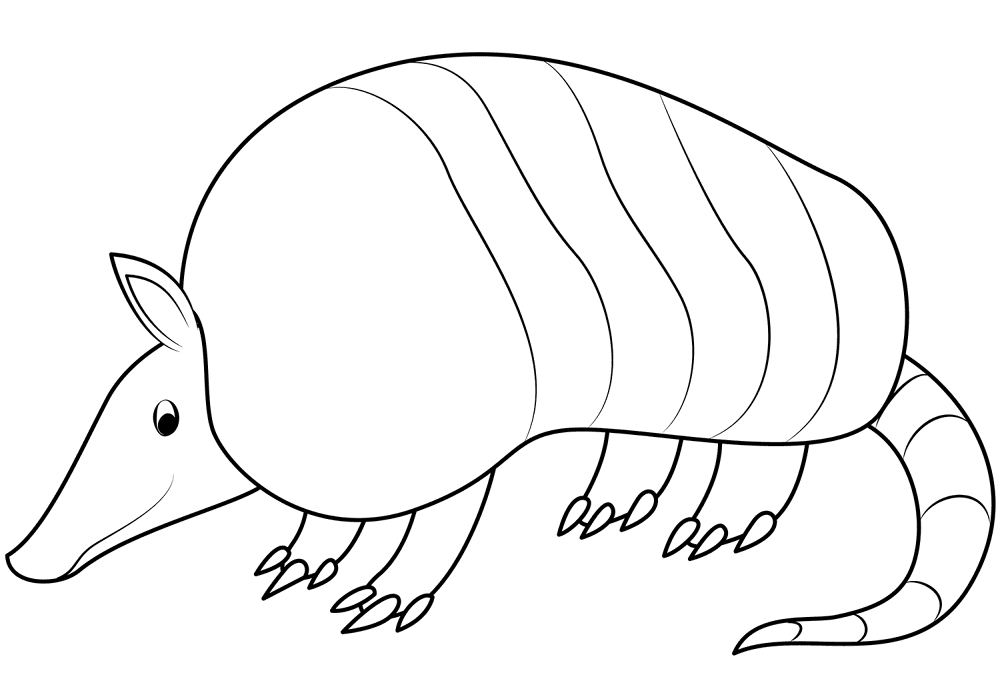 Desenho de Animais Noturnos para colorir e imprimir: número 8