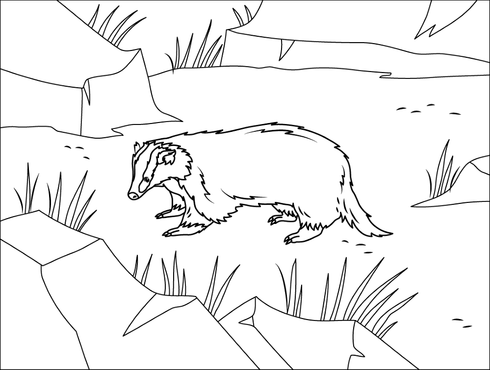 Desenho de Animais Noturnos para colorir e imprimir: número 9