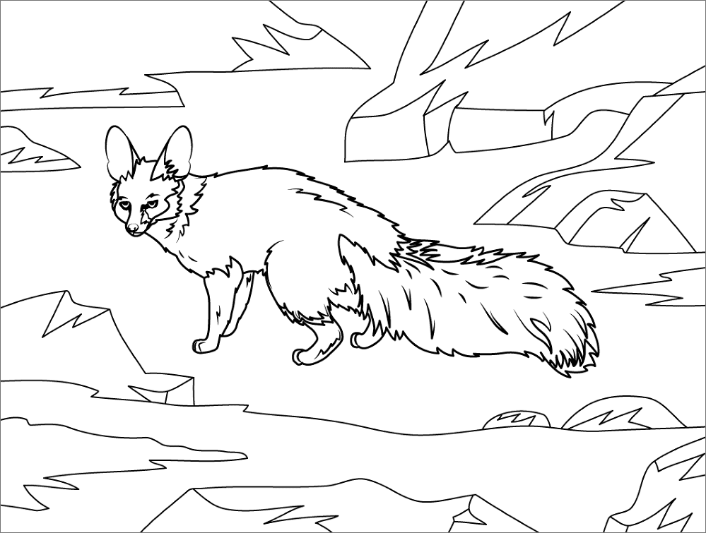 Desenho de Animais Noturnos para colorir e imprimir: número 14