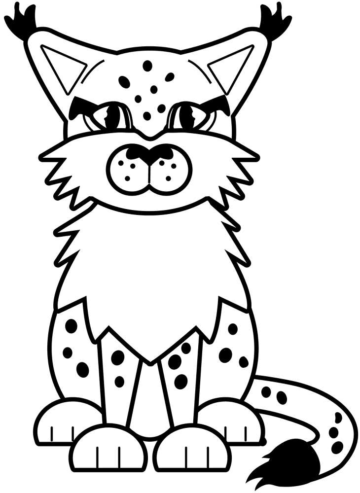 Desenho de Animais Noturnos para colorir e imprimir: número 15
