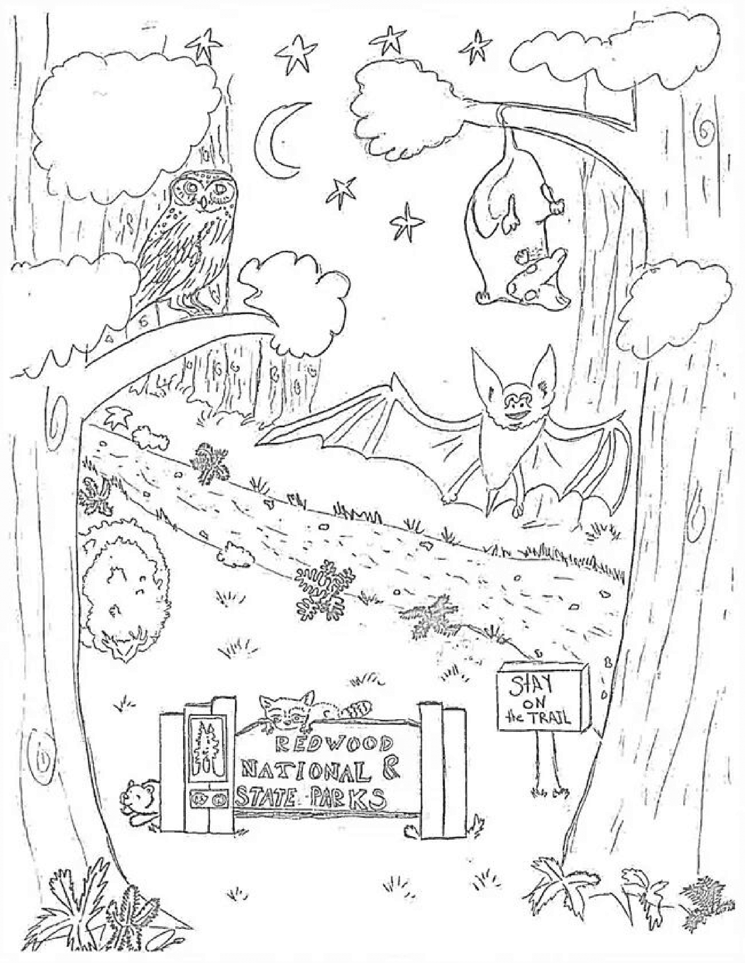 Desenho de Animais Noturnos para colorir e imprimir: número 27
