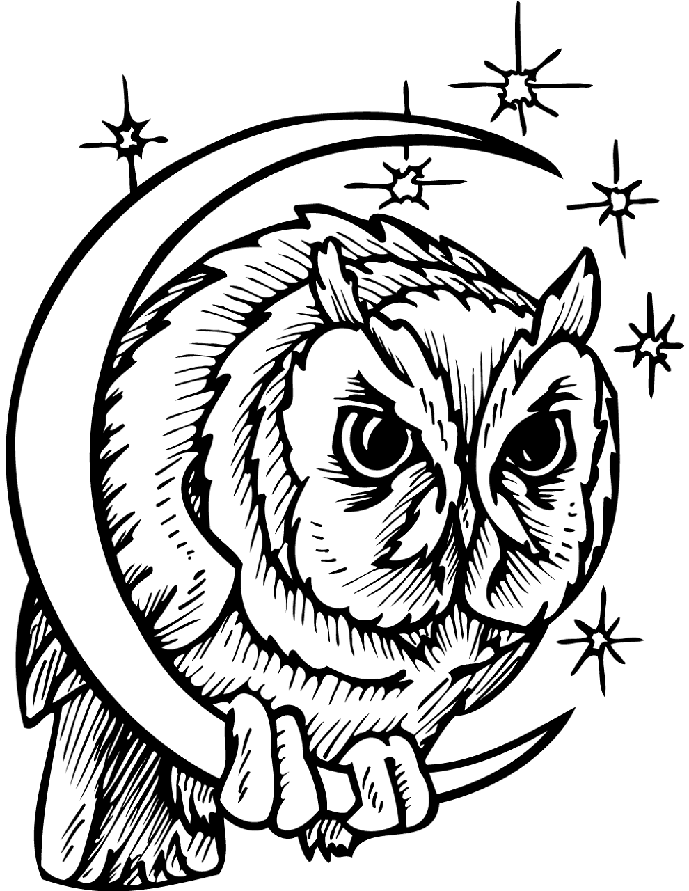 Desenho de Animais Noturnos para colorir e imprimir: número 28