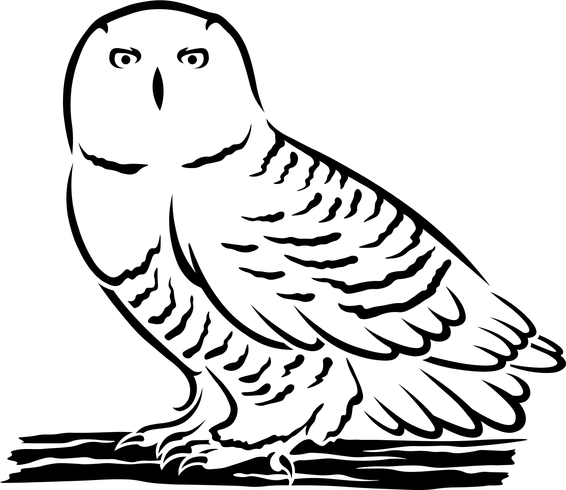 Desenho de Animais Noturnos para colorir e imprimir: número 34