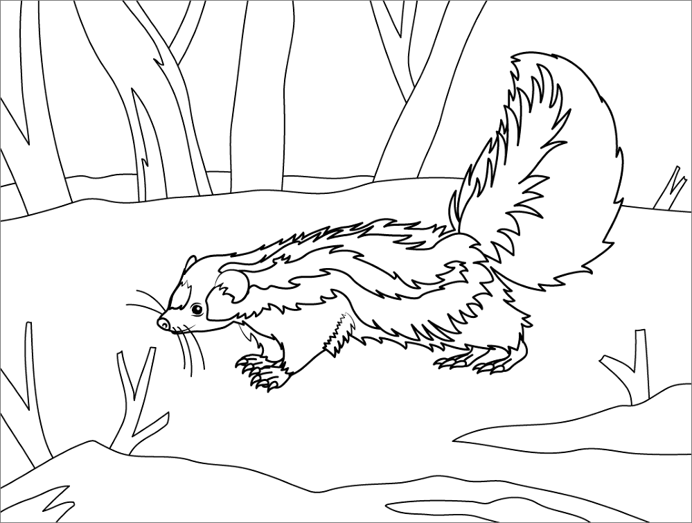 Desenho de Animais Noturnos para colorir e imprimir: número 36