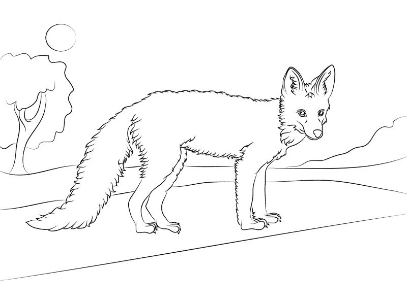Desenho de Animais Noturnos para colorir e imprimir: número 40