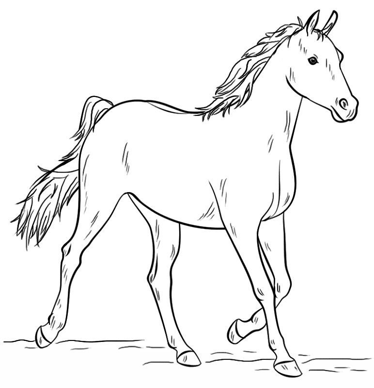 Desenho de Ano Novo Chinês para colorir e imprimir: número 20