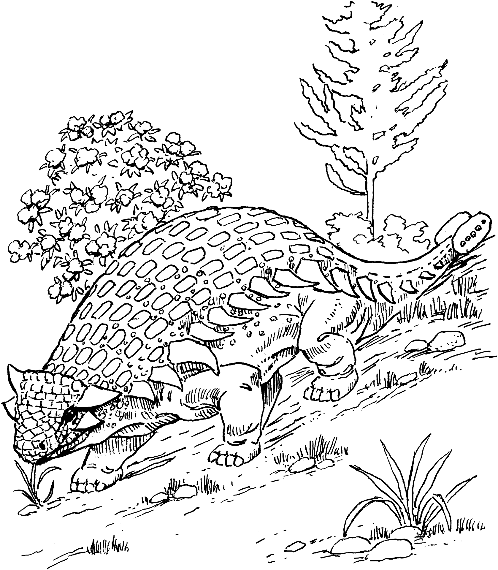 Desenho de Anquilossauro para colorir e imprimir: número 2