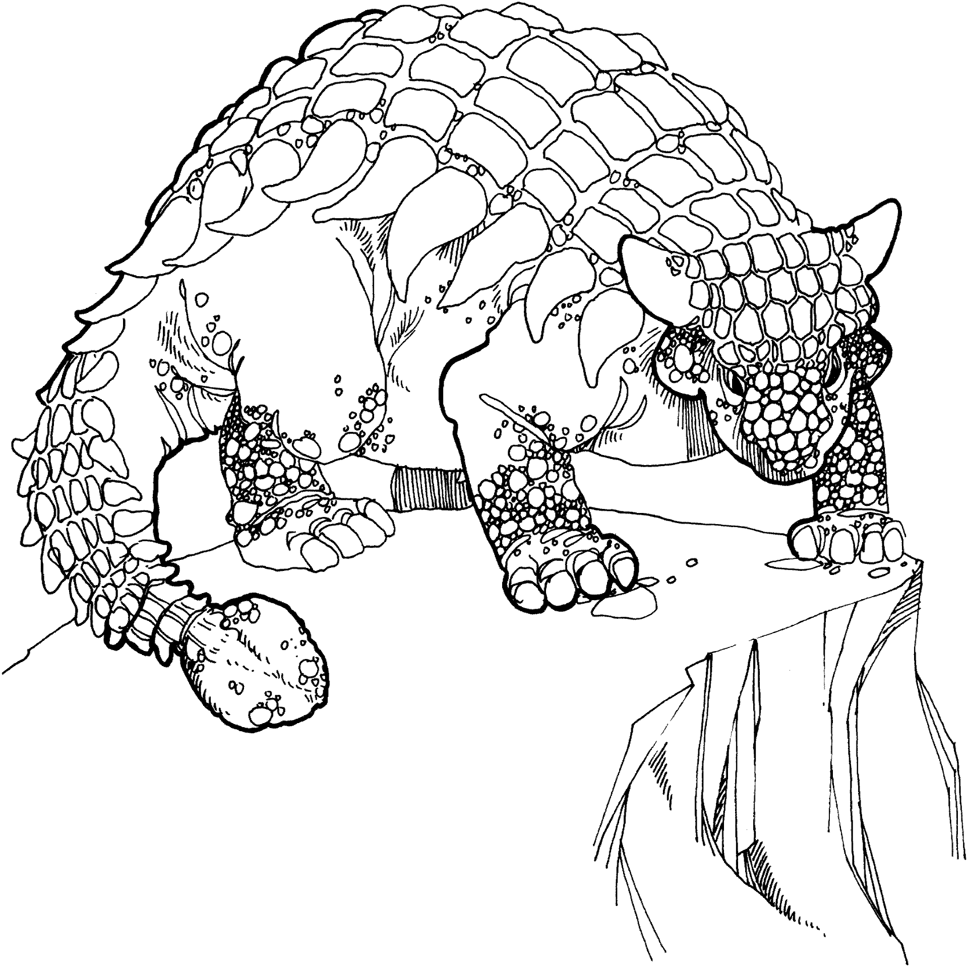 Desenho de Anquilossauro para colorir e imprimir: número 6
