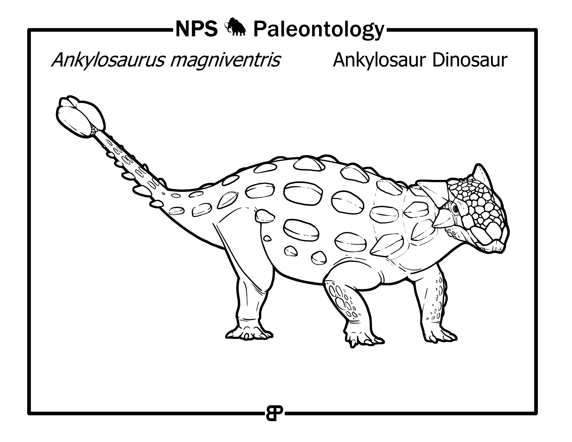 Desenho de Anquilossauro para colorir e imprimir: número 16
