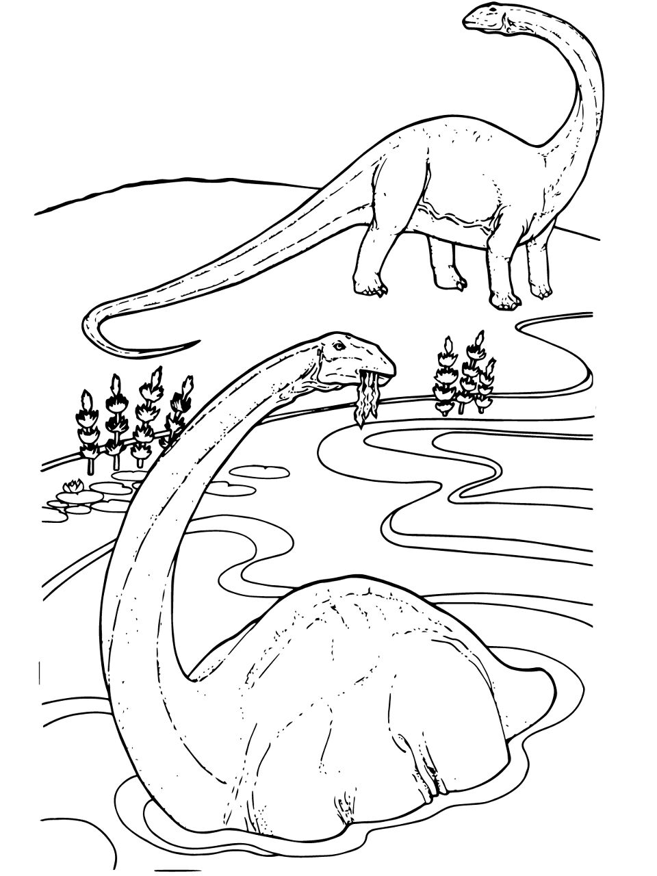 Desenho de Apatossauro para colorir e imprimir: número 9
