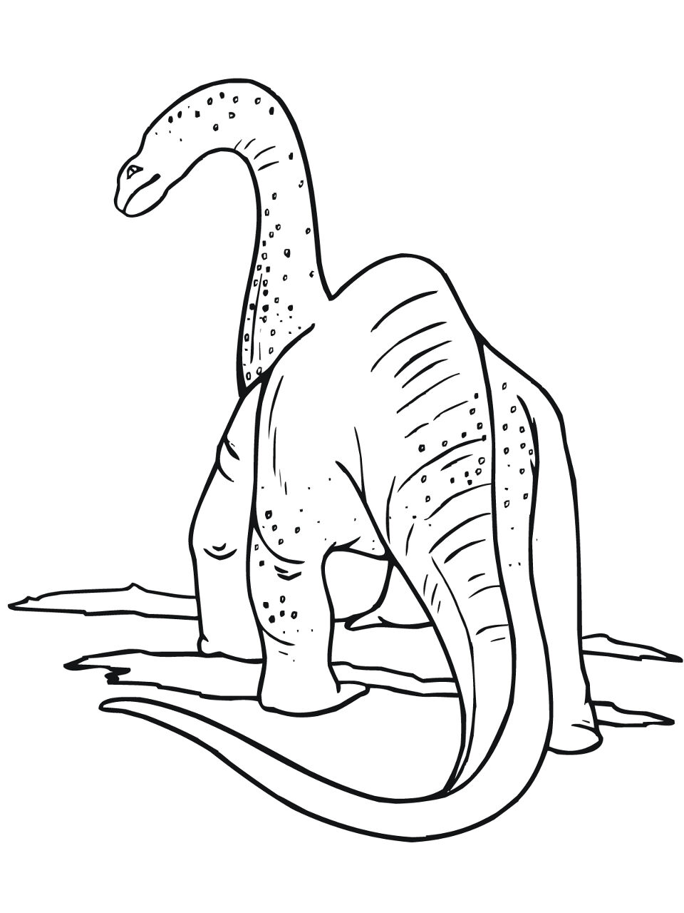 Desenho de Apatossauro para colorir e imprimir: número 10