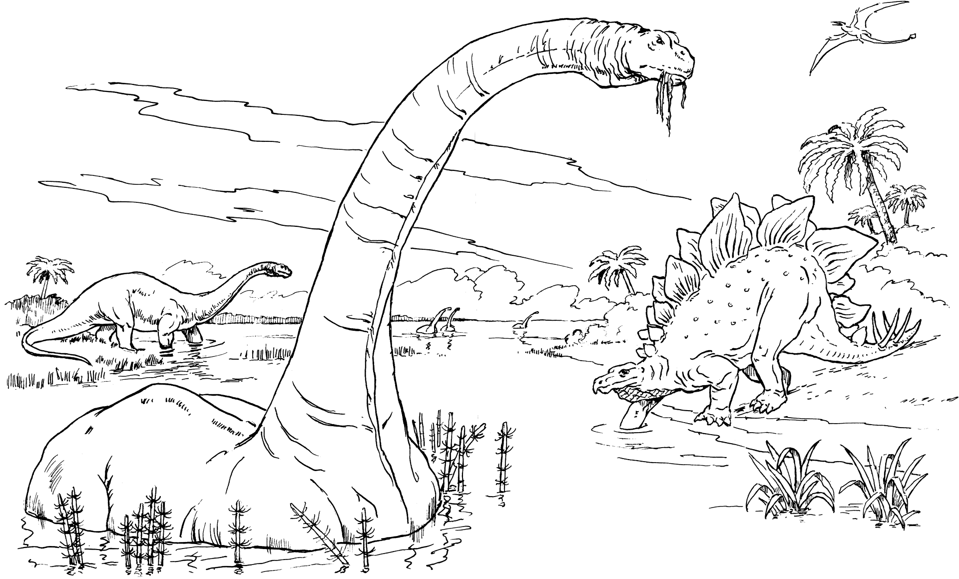 Desenho de Apatossauro para colorir e imprimir: número 17