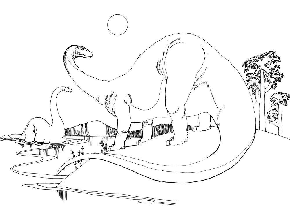 Desenho de Apatossauro para colorir e imprimir: número 20