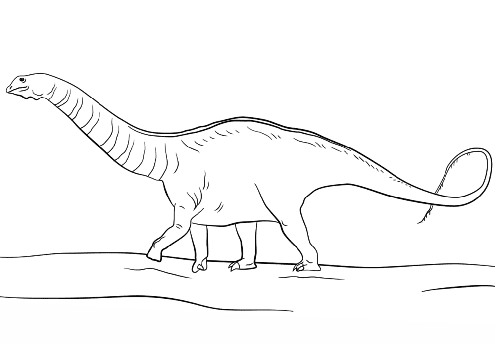 Desenho de Apatossauro para colorir e imprimir: número 22