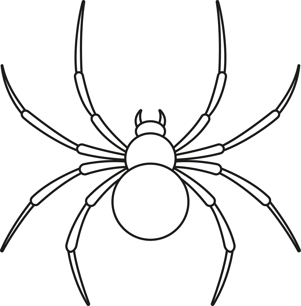 Desenho de Aracnídeos para colorir e imprimir: número 6