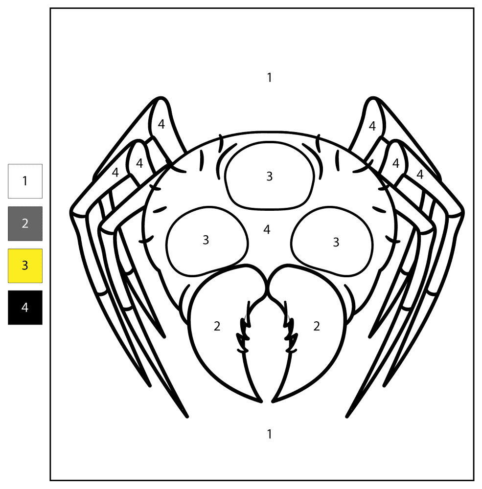 Desenho de Aracnídeos para colorir e imprimir: número 12