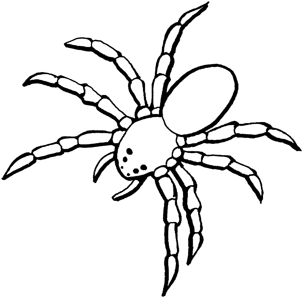 Desenho de Aracnídeos para colorir e imprimir: número 17
