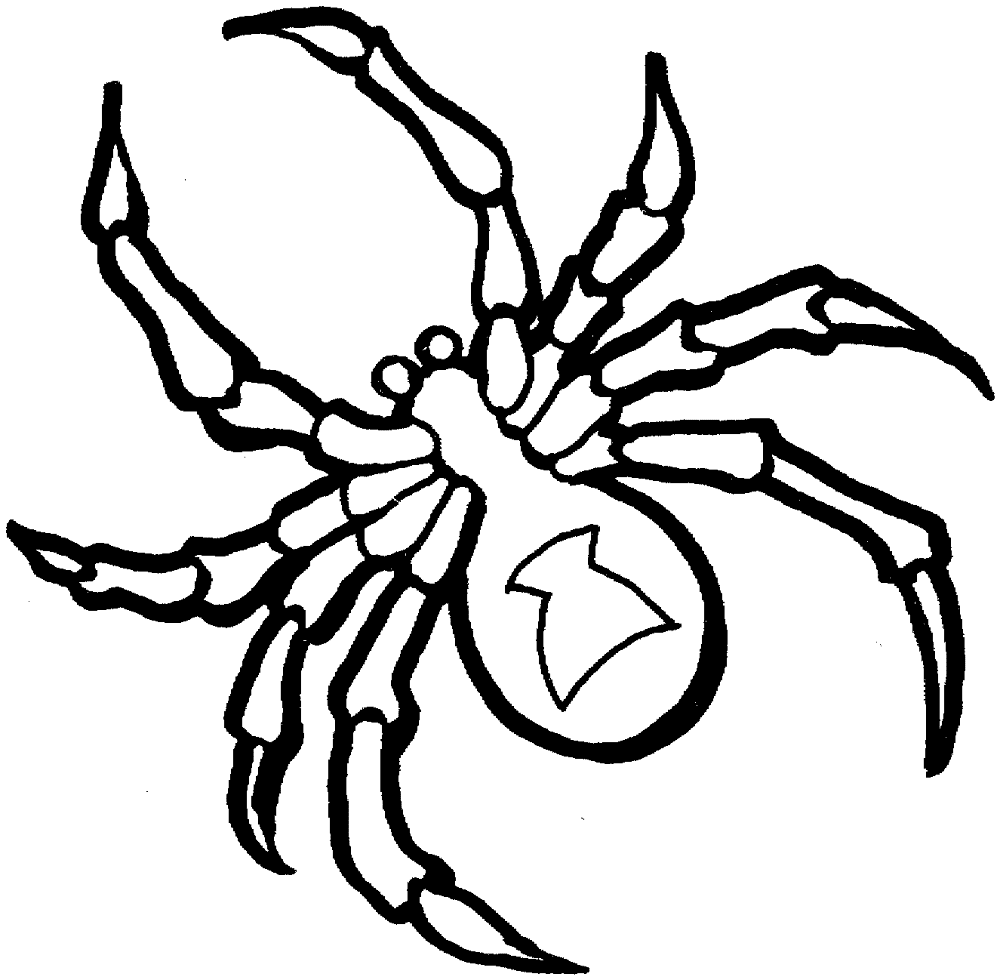 Desenho de Aracnídeos para colorir e imprimir: número 31