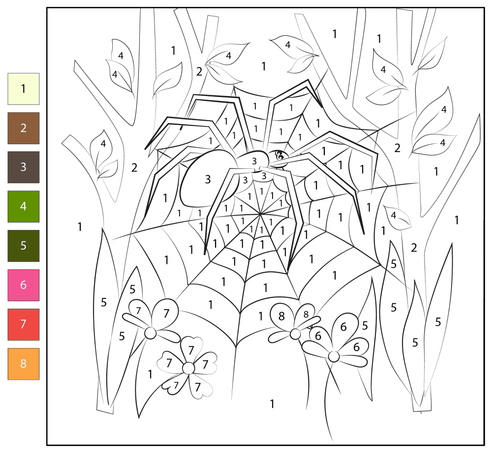 Desenho de Aracnídeos para colorir e imprimir: número 36