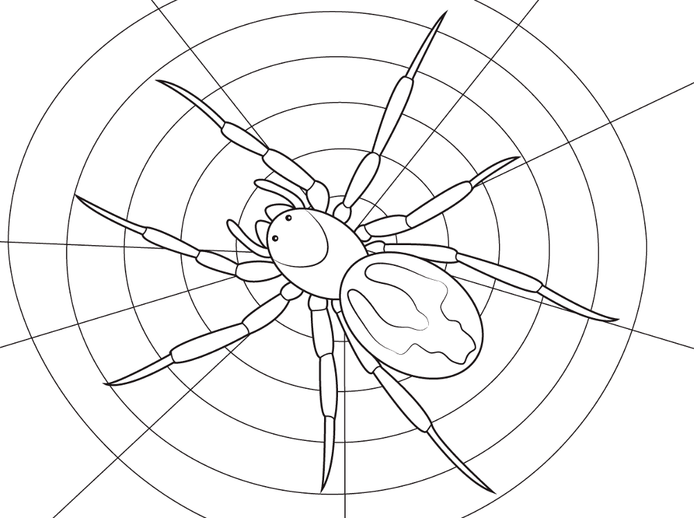 Desenho de Aracnídeos para colorir