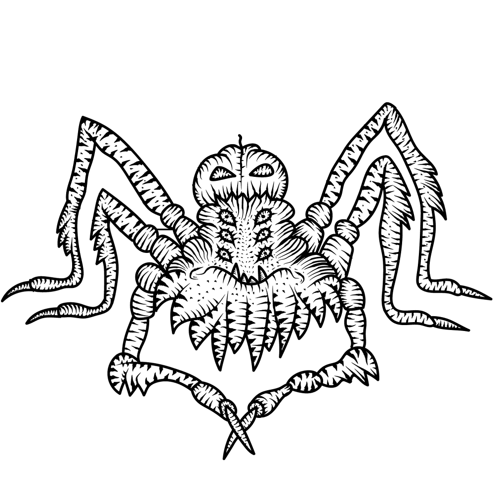 Desenho de Aracnídeos para colorir