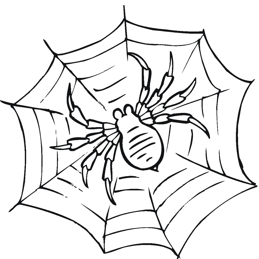 Desenho de Aracnídeos para colorir