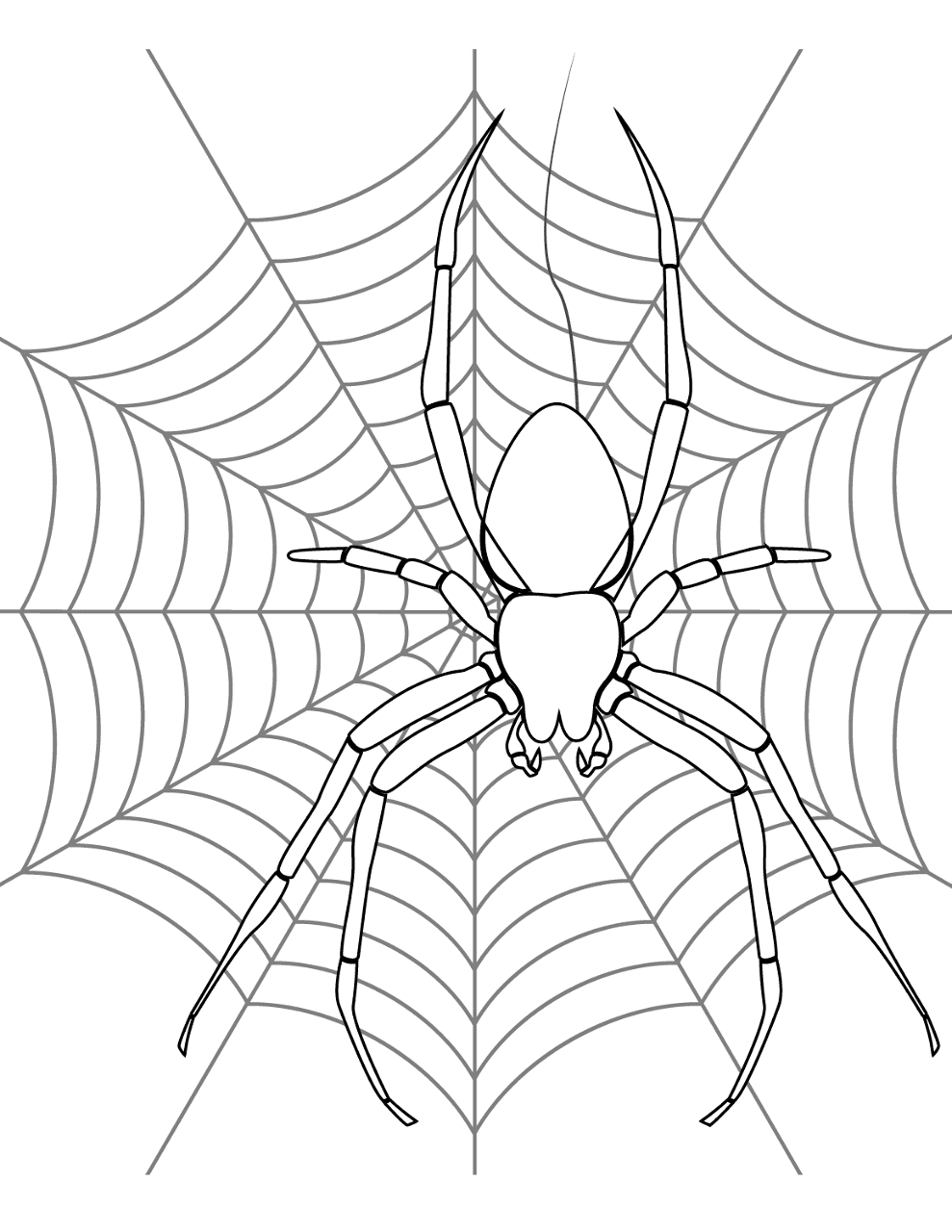 Desenho de Aracnídeos para colorir