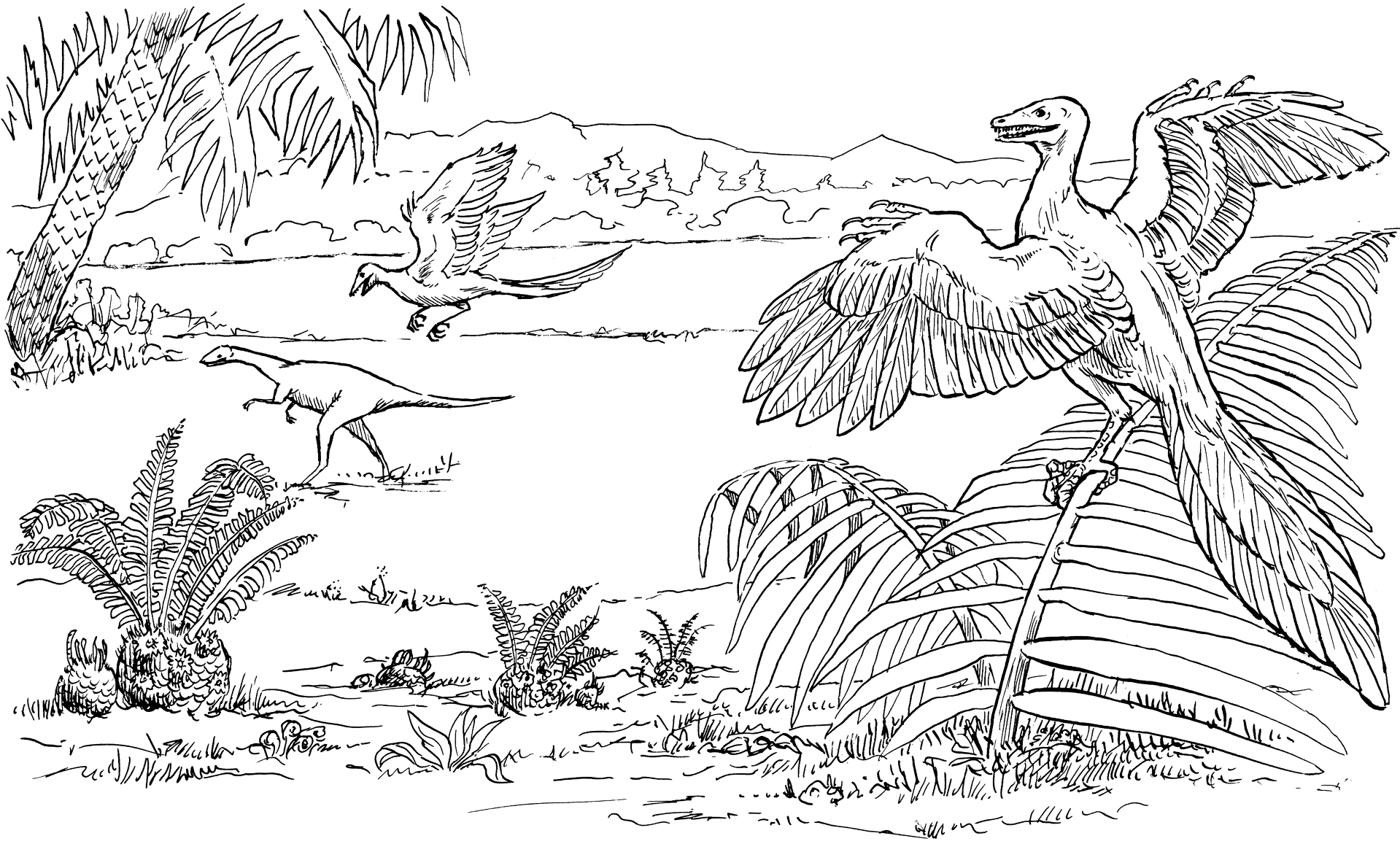 Desenho de Arqueoptérix para colorir e imprimir: número 2