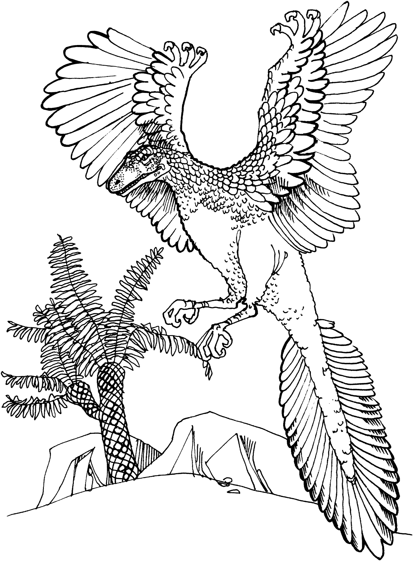 Desenho de Arqueoptérix para colorir e imprimir: número 5