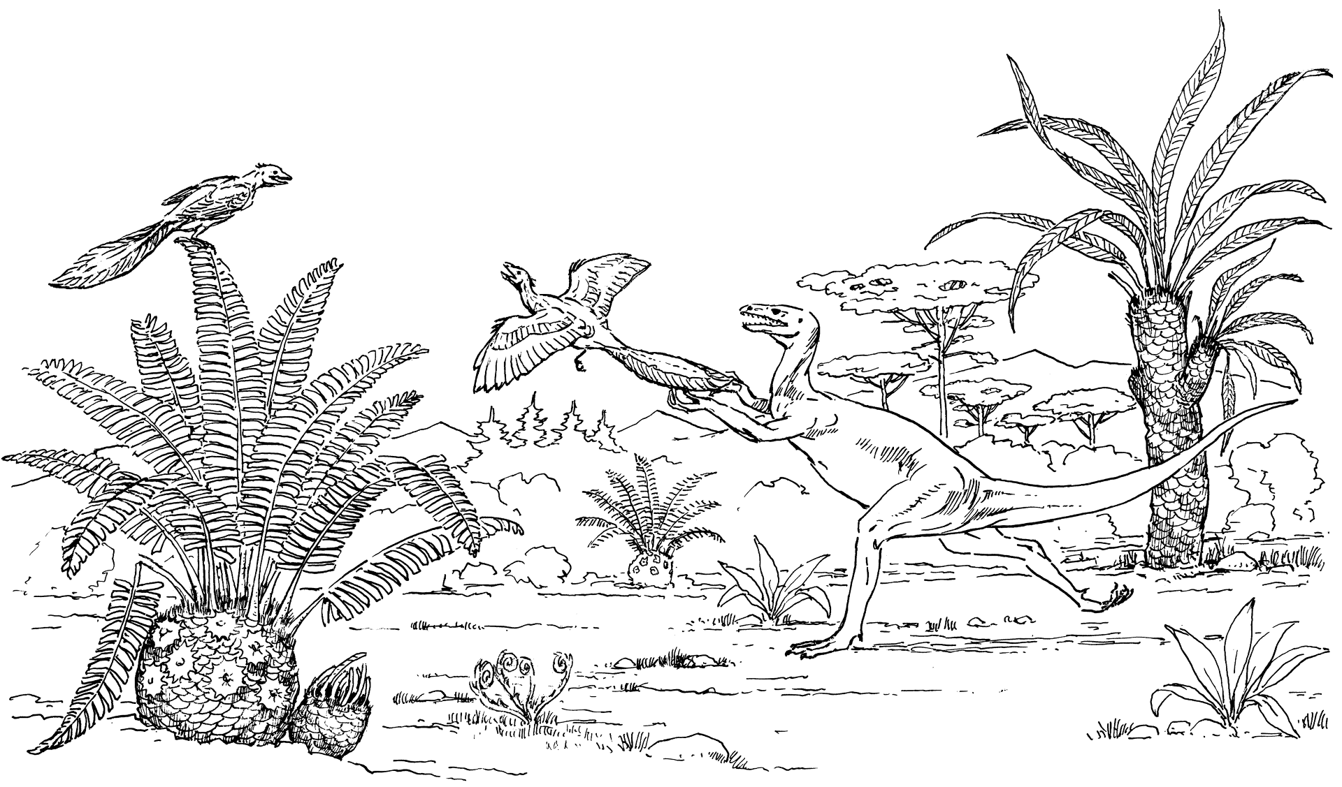 Desenho de Arqueoptérix para colorir e imprimir: número 7