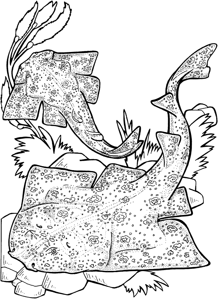 Desenho de Arraia para colorir e imprimir: número 5