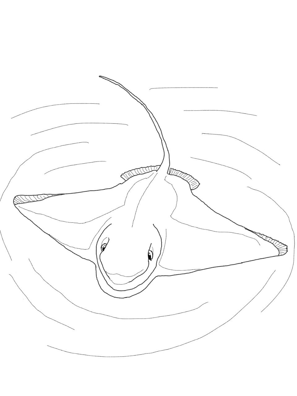 Desenho de Arraia para colorir e imprimir: número 6