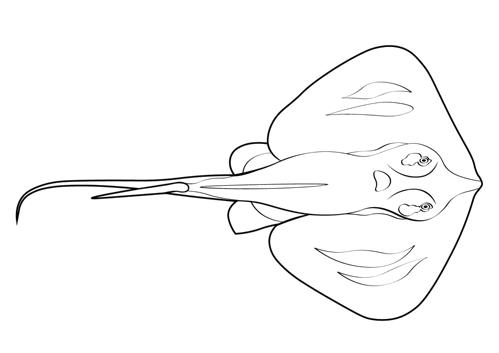 Desenho de Arraia para colorir e imprimir: número 8
