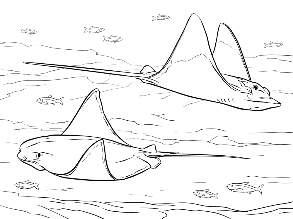 Desenho de Arraia para colorir e imprimir: número 9