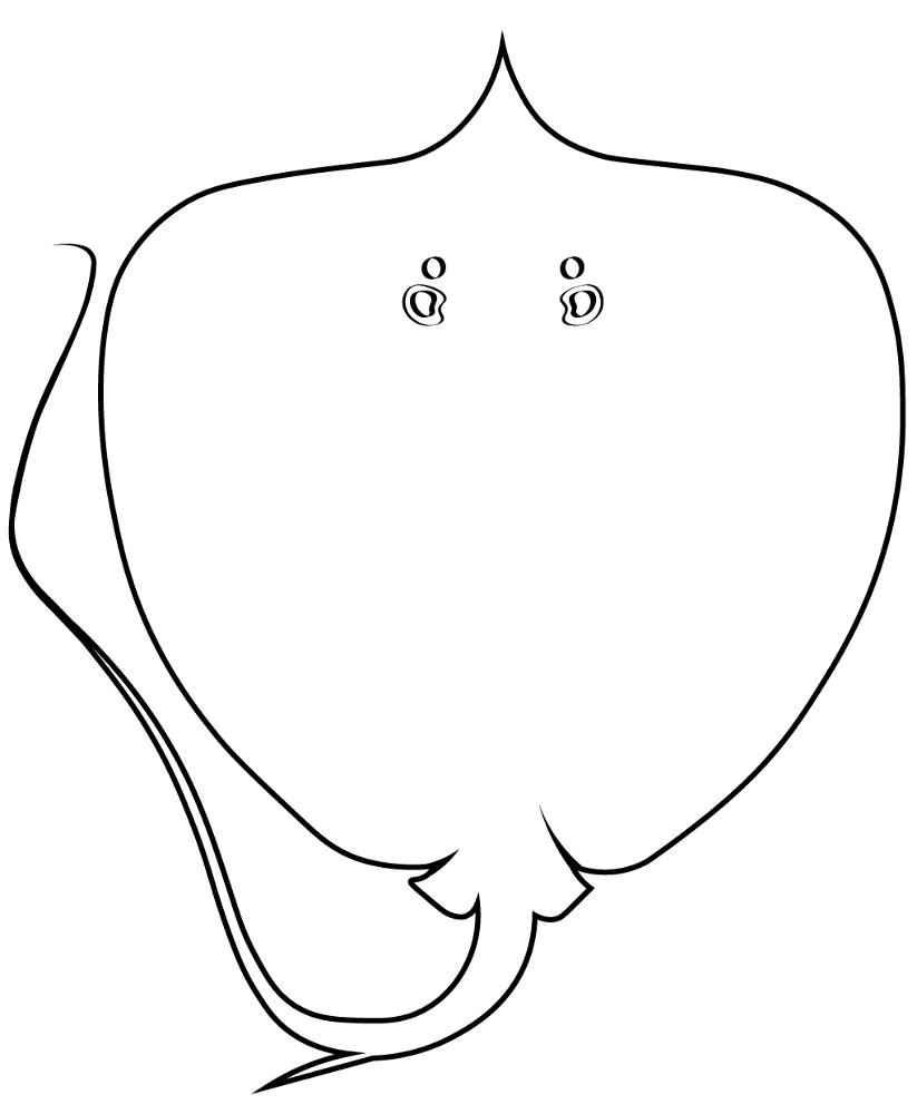 Desenho de Arraia para colorir e imprimir: número 17