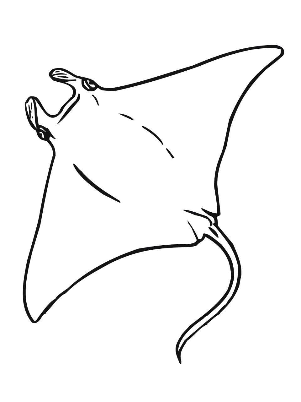 Desenho de Arraia para colorir e imprimir: número 23