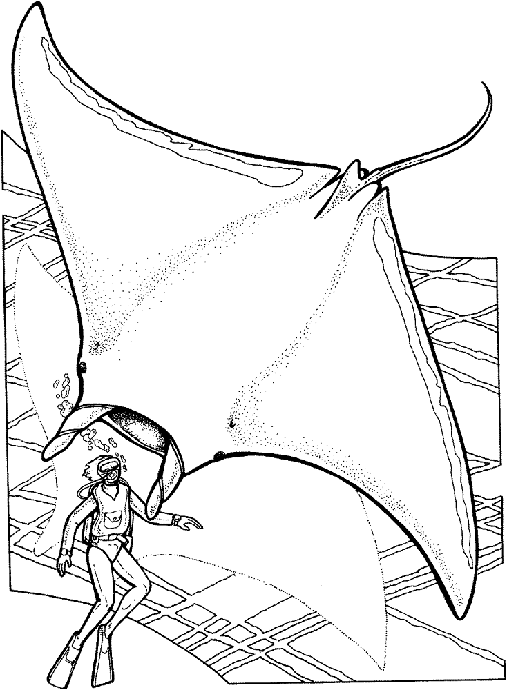 Desenho de Arraia para colorir e imprimir: número 25