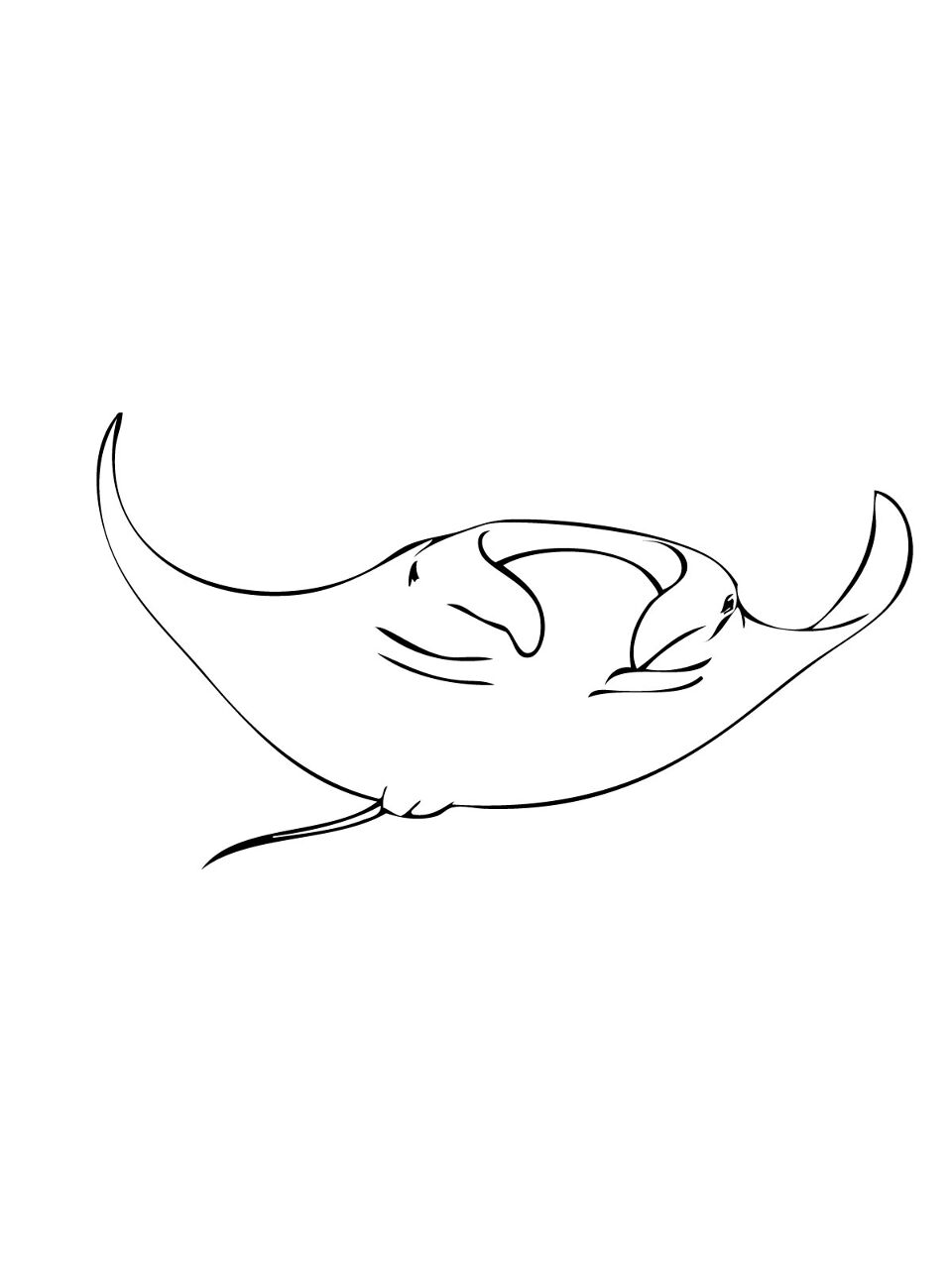 Desenho de Arraia para colorir e imprimir: número 26