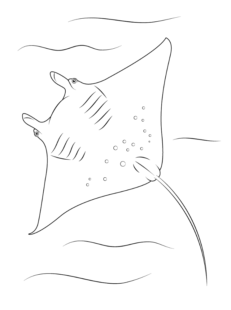 Desenho de Arraia para colorir e imprimir: número 27