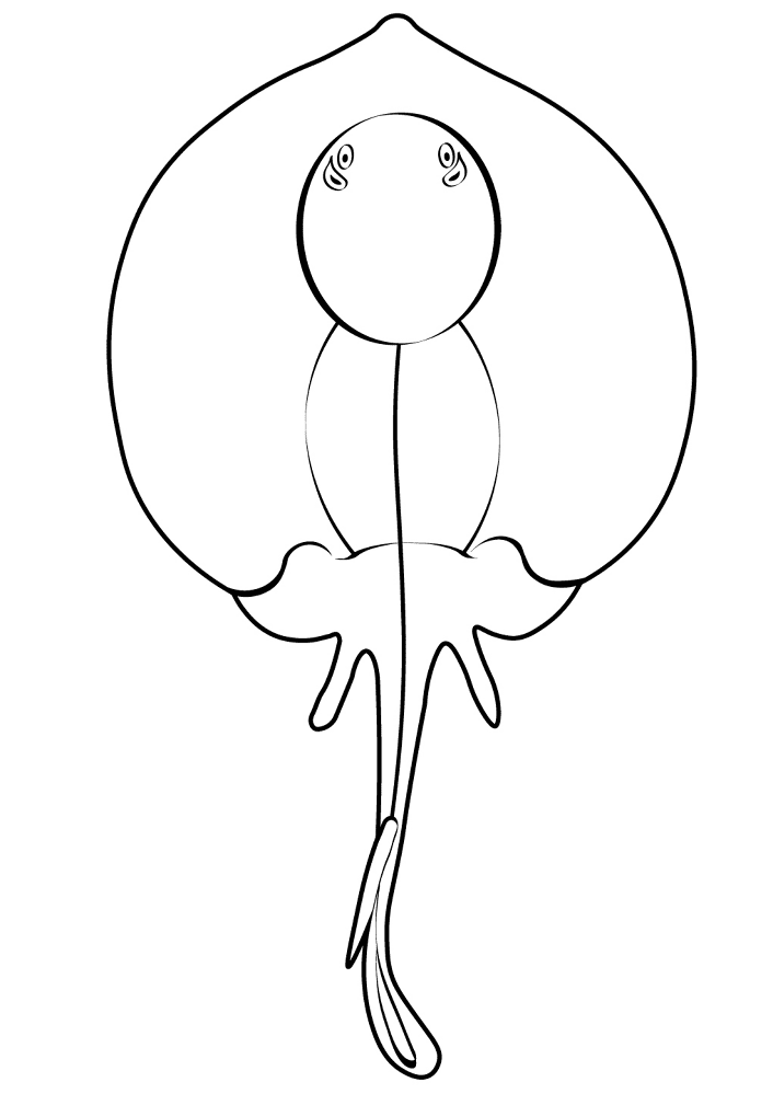 Desenho de Arraia para colorir e imprimir: número 32