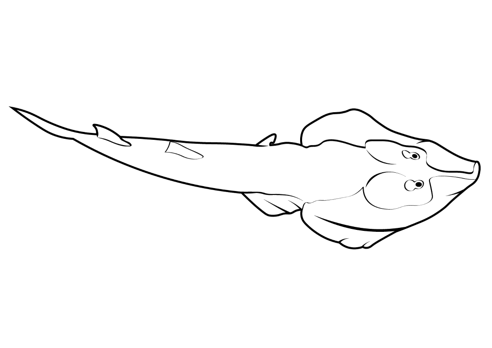 Desenho de Arraia para colorir e imprimir: número 33