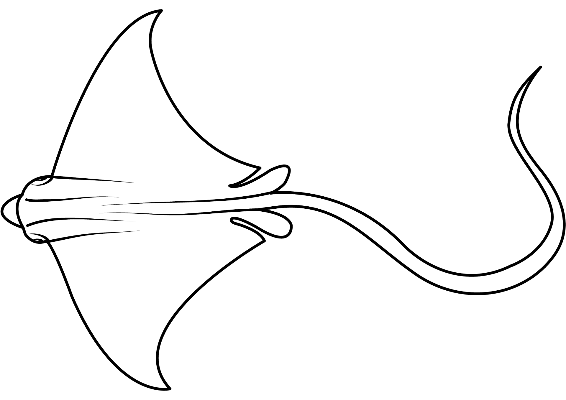Desenho de Arraia para colorir e imprimir: número 37