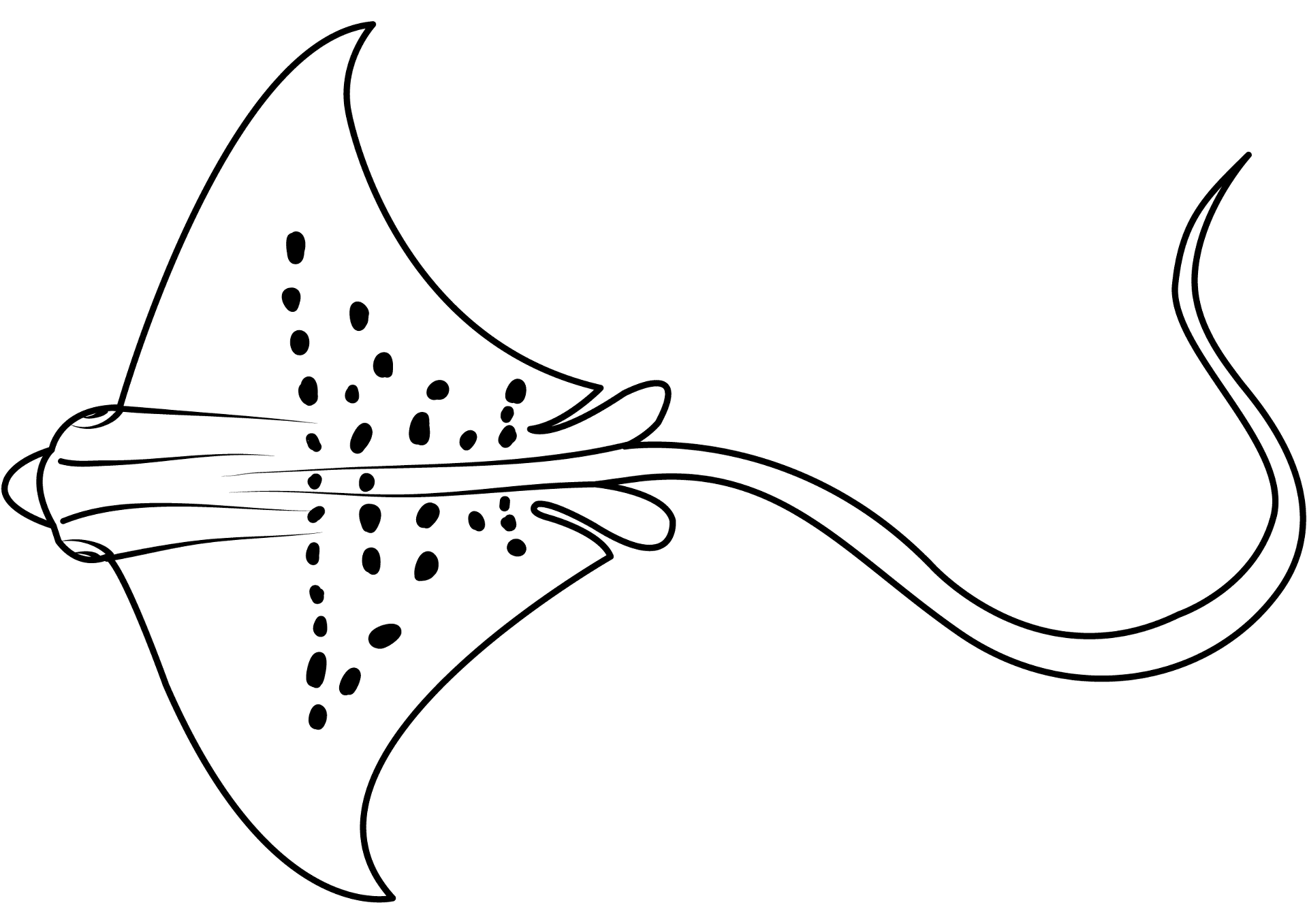 Desenho de Arraia para colorir e imprimir: número 38