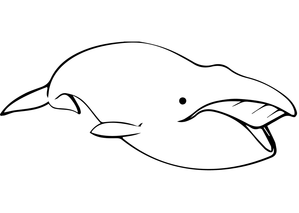 Desenho de Baleias para colorir e imprimir: número 6