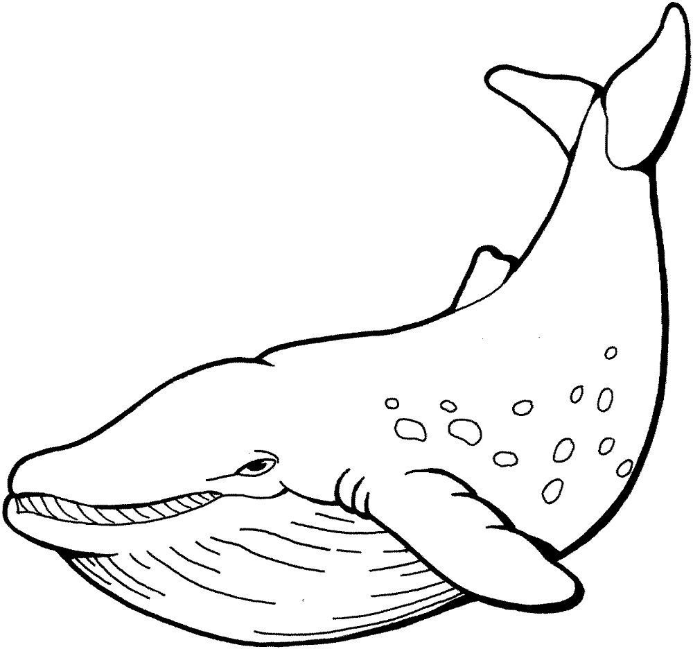 Desenho de Baleias para colorir e imprimir: número 9