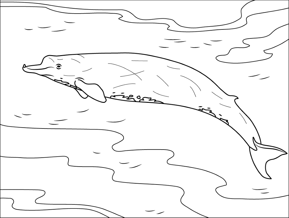 Desenho de Baleias para colorir e imprimir: número 16